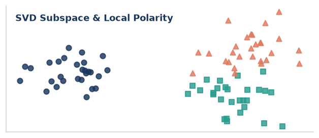 SVD Subspace and Local Polarity